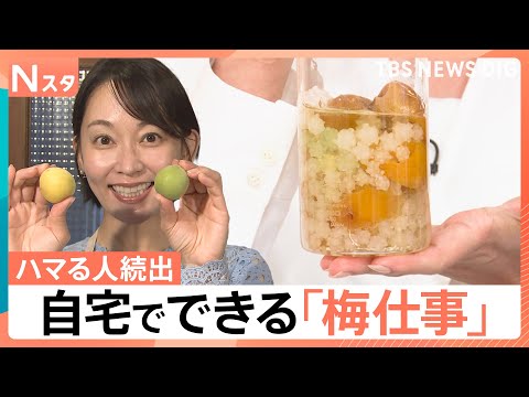 大変だけど…やったらハマる「梅仕事」の魅力とは？ 意外と簡単 自分流アレンジ【Nスタ】｜TBS NEWS DIG