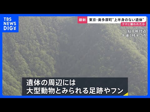 クマに襲われた可能性…“上半身のない遺体”が東京・埼玉にまたがる峠に　各地で相次ぐクマ被害「一段ギアを上げて取り組む」… サムネイル