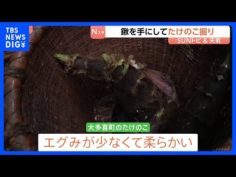 春の味覚　たけのこ料理を味わう　鍬を手にしてたけのこ掘り　山口農園　千葉・大多喜町【SUNトピ】｜TBS NEWS D… サムネイル