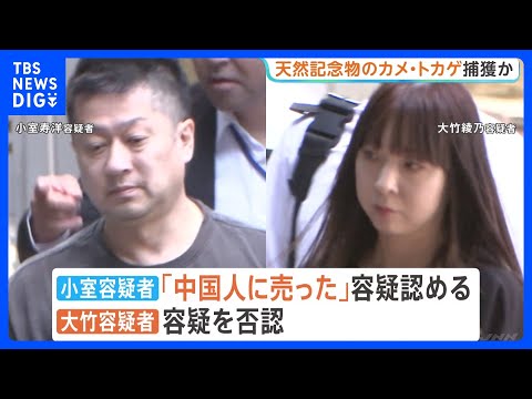 天然記念物のカメ・トカゲを沖縄で捕獲し郵送か　茨城のペットショップ経営者と店長を逮捕　「中国人に売った」と話す　警視庁… サムネイル