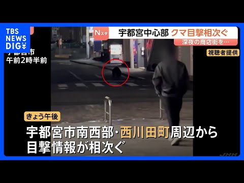 商店街を走り抜けるクマ…宇都宮市中心部で目撃情報相次ぐ「疑ったよ、自分の目を」 部活動の練習試合は全て中止に　現在もク…