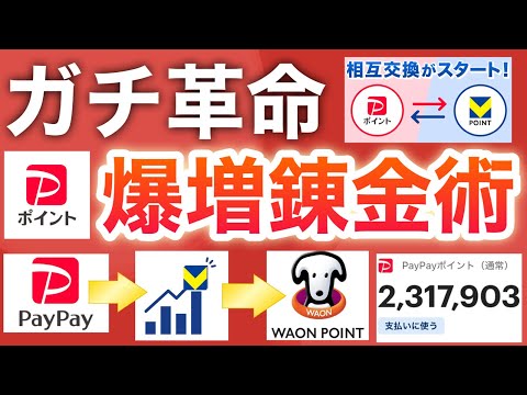 【完全解説】今話題のPayPayポイントをVポイント運用→WAONウエル活の手順を画像付きで解説‼︎ サムネイル