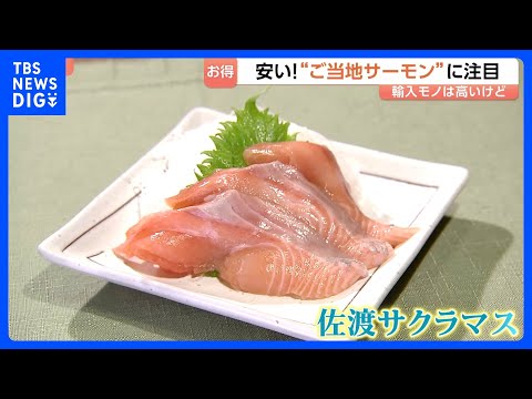 人気No.1のサーモン「輸送コスト増」イラン情勢でノルウェー産など高値に… いま国産の“ご当地サーモン”に脚光｜TBS…