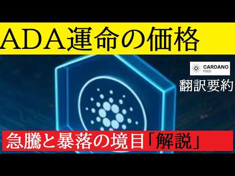 【中堅投資家】カルダノADAが帰ってきた！価格上昇の予感とリスク（翻訳要約） サムネイル