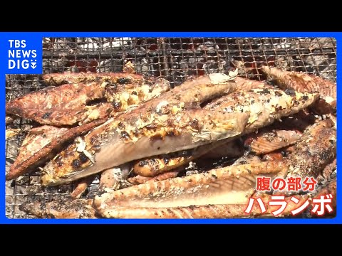 今が旬！初カツオが安い 「去年より200～300円くらい安く提供できている」 燃料高騰で打撃も…豊漁の高知では大行列！…
