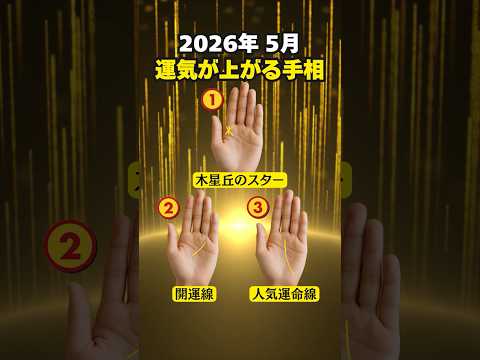 【手相占い】2026年5月から運気急上昇する人の手相3選 手相 占い サムネイル