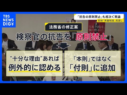 怒号が飛び交う「再審制度」見直し…“袴田さんの58年”　審理の長期化の一因に「検察の抗告」激論の出口は？【news23… サムネイル