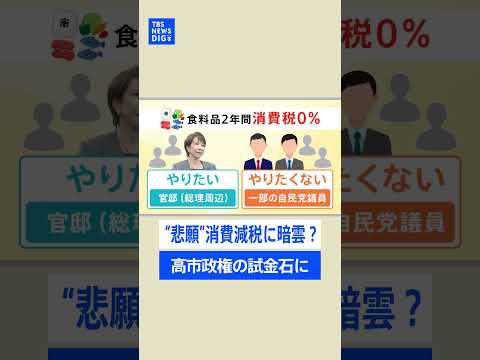 高市総理“悲願”の消費税の減税に自民党内から“ネガティブ”な意見続々･･･政権の今後占う試金石に｜TBS NEWS D… サムネイル