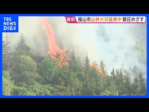 延焼続く広島・福山市の山火事 「きょう中の鎮圧目指す」と消防　住宅への延焼おそれは“小さい”｜TBS NEWS DIG サムネイル
