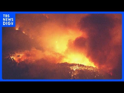 岩手・大槌町で山林火災 住宅など5棟に延焼　町が約2000人に避難指示 これまでにけが人なし｜TBS NEWS DIG サムネイル