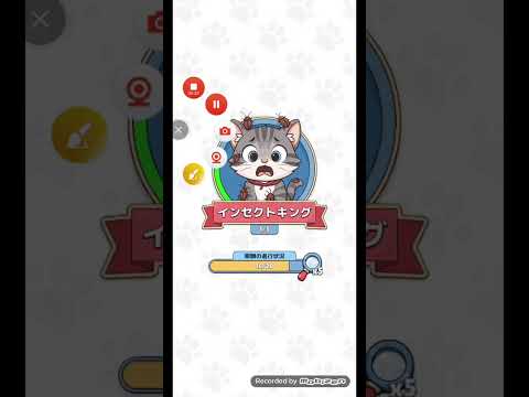 猫ちゃんを探せ(レベル2695ステージ2695)攻略 サムネイル