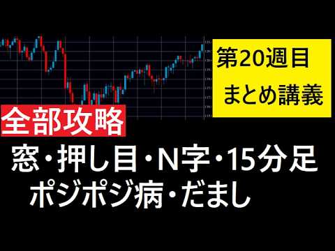 【中堅投資家】FX：全部攻略「第20週目まとめ」 サムネイル