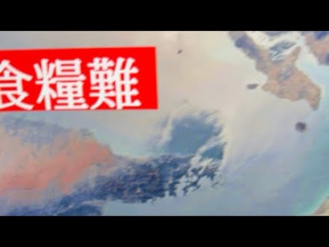 【中堅投資家】令和の食糧危機 サムネイル
