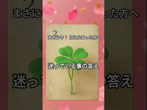【まさに今❗️目に止まった方へ】 占い タロットルノルマン美音タロット 美音 オラクルカード fortune サムネイル