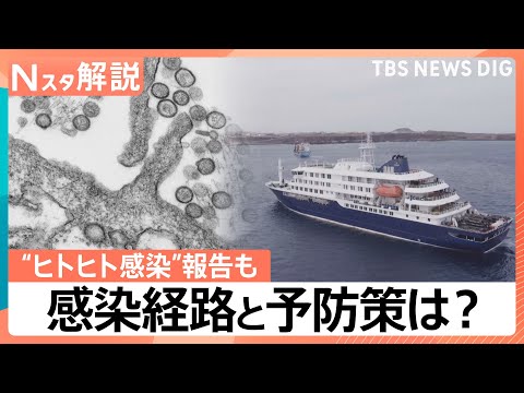 ハンタウイルスで唯一“ヒトヒト感染”報告も…「アンデス株」の感染経路と予防策は？【Nスタ解説】｜TBS NEWS DIG サムネイル
