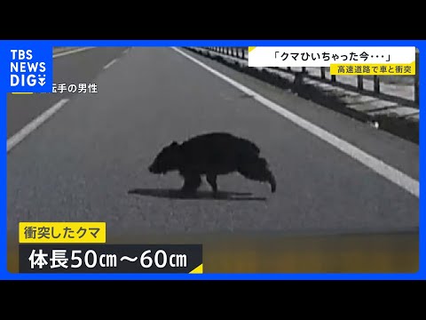 【ドラレコ映像】岩手・東北道を走行中の車にクマが衝突　中央分離帯から突然の飛び出し バンパーが割れ車体には毛が付着　2…