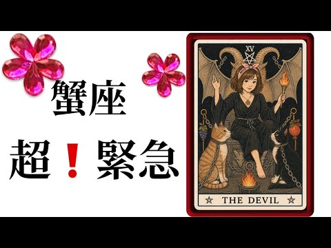 【目に止まった蟹座さん】最高の5月🌸を迎えました☀️動画を見た時がタイミング✨蟹座さんへのメッセージ💌🩷ガッツリ読み解… サムネイル