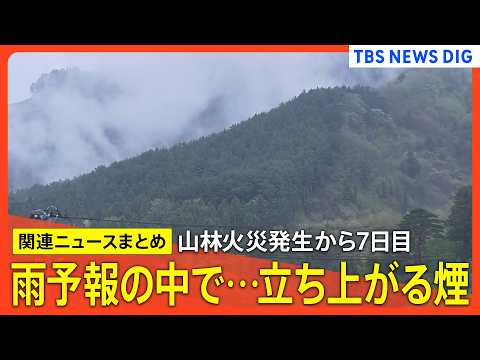 【山林火災 岩手･大槌町】山火事 発生7日目/雨予報のなか立ちあがる煙/「局地激甚災害」に指定へ/6日目に雨も「こんな… サムネイル