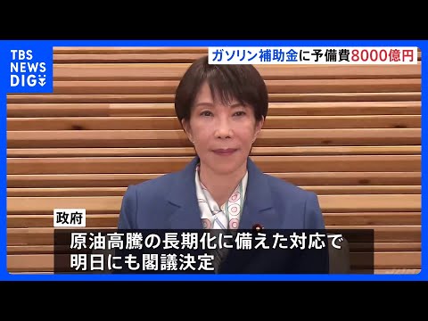 ガソリン補助金に今年度予備費から8000億円程度を支出へ　原油高騰の長期化に備えた対応｜TBS NEWS DIG サムネイル