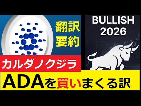 【中堅投資家】カルダノ急騰直前か！？最終的な爆買いに入るADAクジラ
