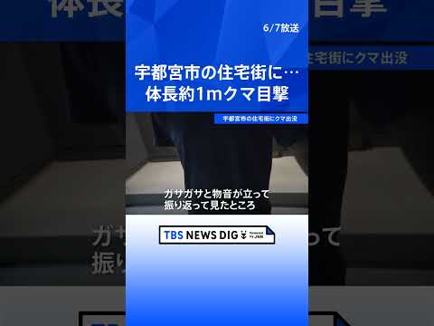 宇都宮市の住宅街でクマ目撃　体長1メートルほど　きょうも警察や猟友会などによる警戒活動｜TBS NEWS DIG sh…