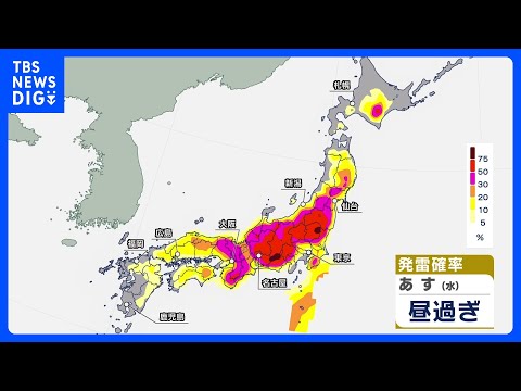 関東甲信、東海で発雷確率50%以上　大気の状態“不安定” 天気急変に注意を【あす13日の天気】｜TBS NEWS DIG サムネイル