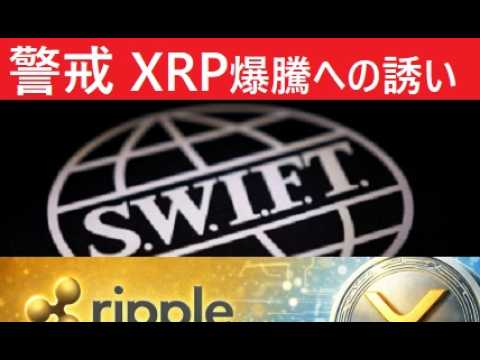 【中堅投資家】XRPへの期待と危なっかしさ。 サムネイル