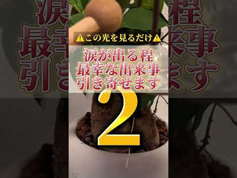 何度も見ると願いが叶いやすくなります。感謝の心も忘れずに願望をコメントをして下さいね。開運  運気  運気上昇 運気ア… サムネイル