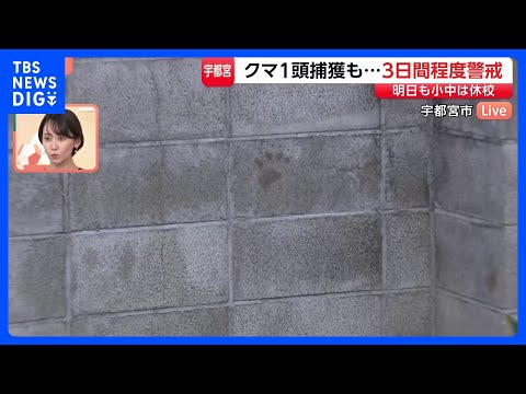 住宅敷地内にクマの足跡　宇都宮のクマ1頭捕獲も…今後3日間は警察や猟友会と警戒続ける【現場中継】｜TBS NEWS D… サムネイル