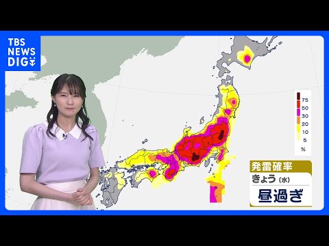 発雷確率50％以上で本州は昼頃から至る所で雷雨のおそれ　突風やひょうにも注意｜TBS NEWS DIG サムネイル