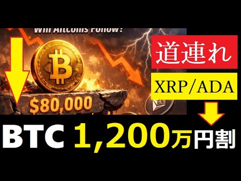 【中堅投資家】翻訳要約「BTCがさらに急落！巻き込まれるXRPとADA」 サムネイル