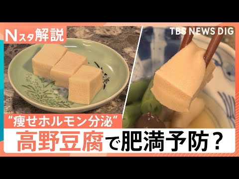 高野豆腐に肥満予防の可能性　新研究で“痩せホルモン”分泌も　ガパオやかりんとうなど煮物以外の活用術【Nスタ解説】｜TB…