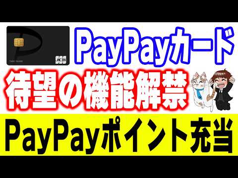 【ついに解禁】PayPayカードの支払いにPayPayポイントが使える！条件・注意点を完全解説 サムネイル