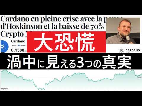 【中堅投資家】仮想通貨カルダノの深刻な危機！チャールズホスキンソンも休止（翻訳要約）ＡＤＡ/ＢＴＣ
