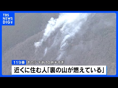 大阪・能勢町で山林火災 約10万平方メートル焼ける　70代男性が軽傷｜TBS NEWS DIG サムネイル