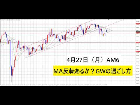 【中堅投資家】FX：GWトレーダーの過ごし方 サムネイル