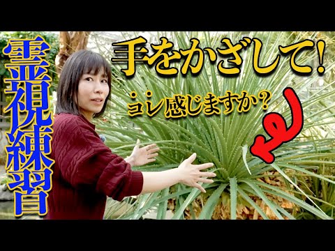 ⚠️コレは●●の効果‼️霊能者と一緒に感じる練習✨️あなたはどう感じる？手をかざして サムネイル