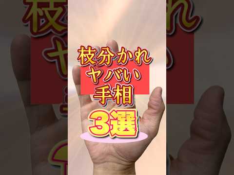 【手相占い】枝分かれがヤバい手相3選 手相  開運  雑学  40代  50代 サムネイル