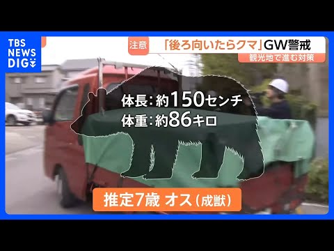 GWにも出没「後ろを向いたらクマが…」4月ツキノワグマによる死者は約20年で初の“異例”の事態…観光地でも“音バリア”… サムネイル