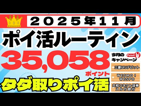 【ポイ活ルーティン】３５，０５８ポイント獲得（１１月１日～１１月３０日）（毎月コツコツ・タダ取りポイ活、キャンペーン攻… サムネイル