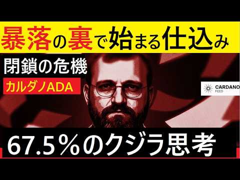 【中堅投資家】ビットコイン・カルダノADA暴落「こう考えろ、こう行動しろ」クジラの思考と罠 サムネイル
