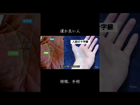 運が良い人の思考から手相を考えてみる #占い #スピリチュアル #手相 #手相占い #手相鑑定 サムネイル