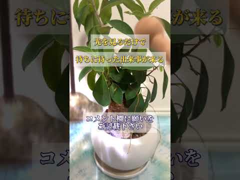 何度も見ると願いが叶いやすくなります。感謝の心も忘れずに願望をコメントをして下さいね。開運  運気  運気上昇 運気ア… サムネイル