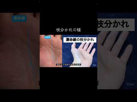 運命線から知る人生が変わるタイミング 手相 占い 手相鑑定 金運