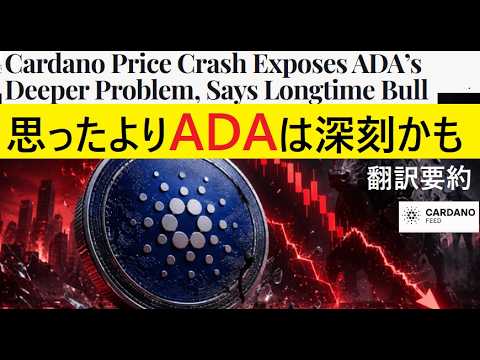 【中堅投資家】第一部「大物ADA支持者の苦言」（翻訳要約） サムネイル