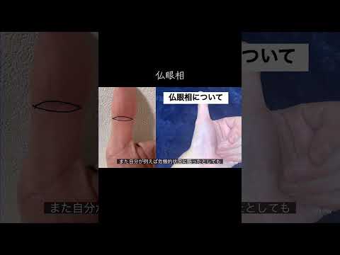 改めて認知度が高い仏眼相を解説します 手相 占い 今日から開運 手相占い サムネイル