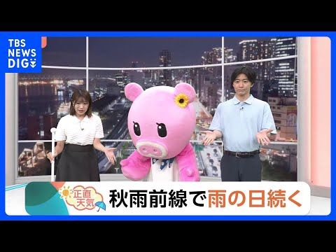 【8月28日 関東の天気】秋雨前線で雨の日続く|TBS NEWS DIG