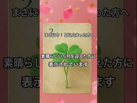 【まさに今❗️目に止まった方へ】 占い タロットルノルマン美音タロット美音 オラクルカード fortune サムネイル
