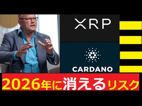 【中堅投資家】カルダノADAとリップルXRPに消えるリスク サムネイル