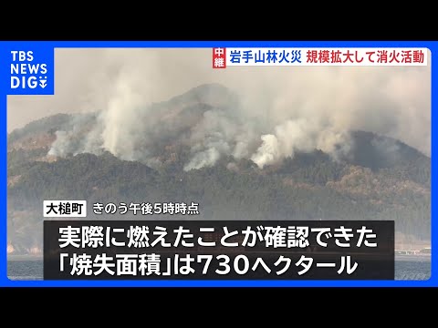岩手・大槌町の山林火災 4日目も延焼続く　規模拡大して消火活動　避難指示エリア拡大で対象は1541世帯3233人に｜T… サムネイル